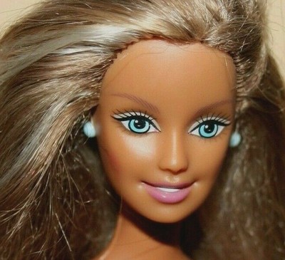 barbie with brown hair and blue eyes